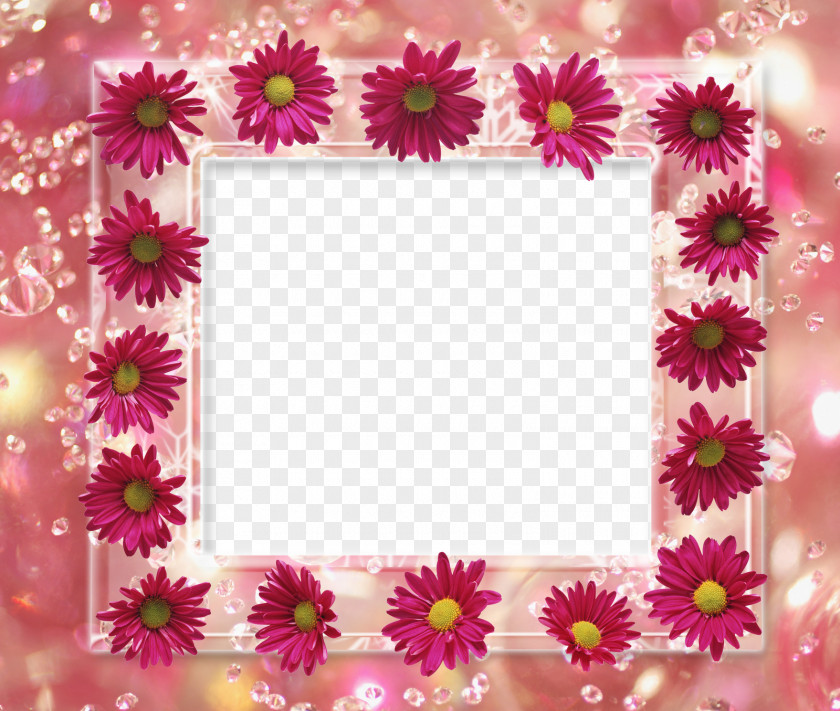 Abstract Floral Frame Borders And Frames Picture Flower Clip Art PNG