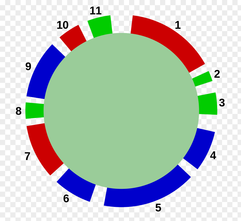 Circle Point Organization Green Clip Art PNG