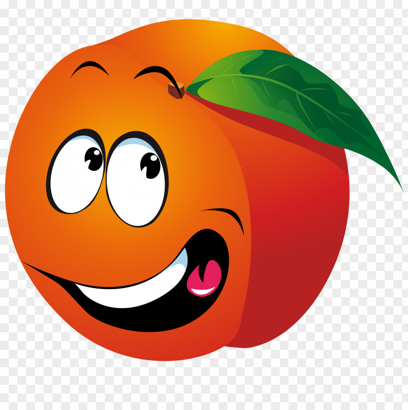 Grapefruit Fruit Smiley Clip Art PNG