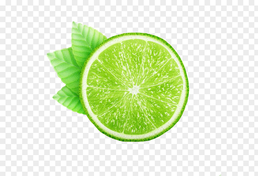 Green Leaves Fresh Lemon Ads Juice Kaffir Lime PNG