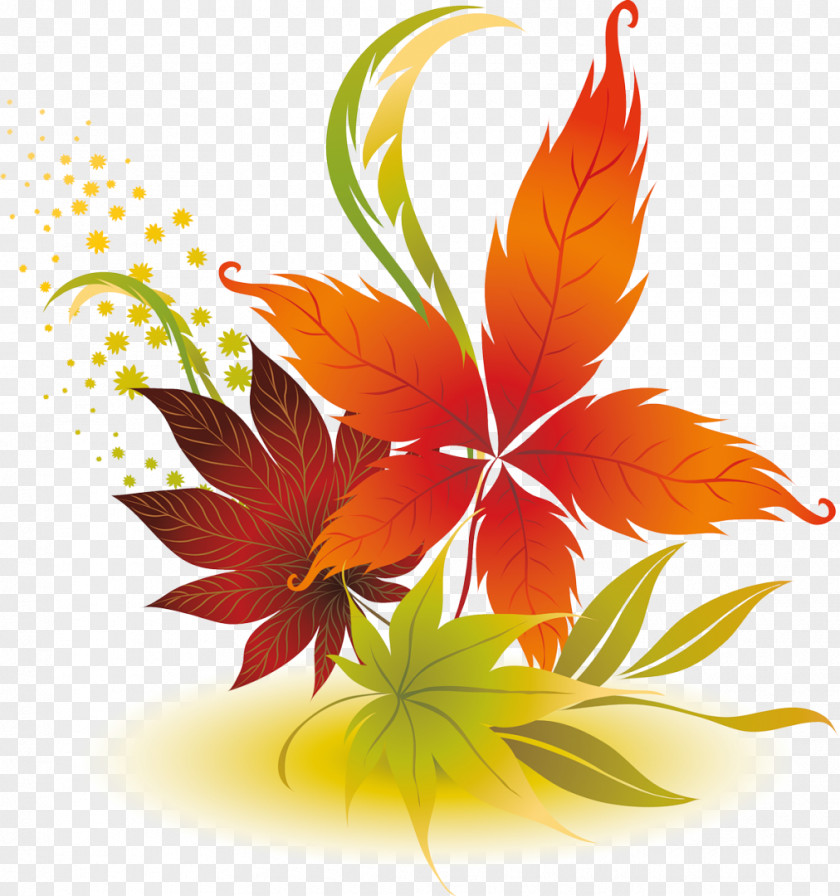 Leaf Abscission Desktop Wallpaper Clip Art PNG