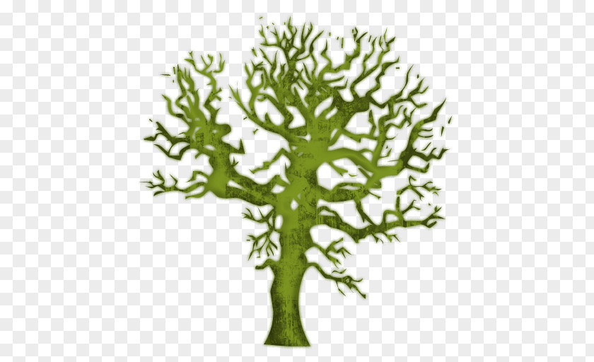 Magical Tree Cliparts Bumper Sticker Amazon.com Decal Waste Recycling PNG