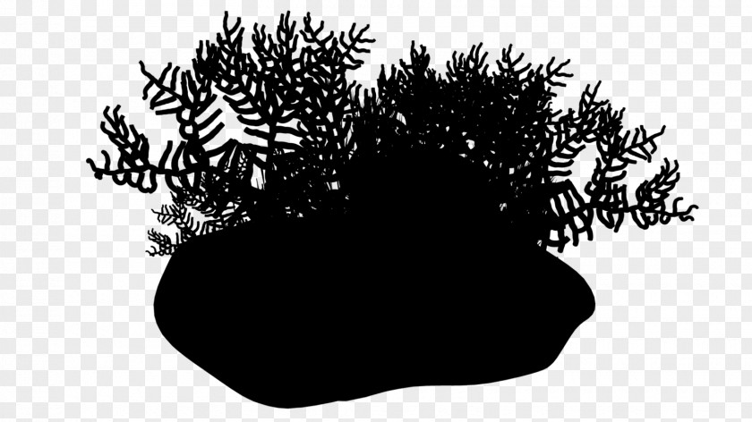Tree Silhouette PNG
