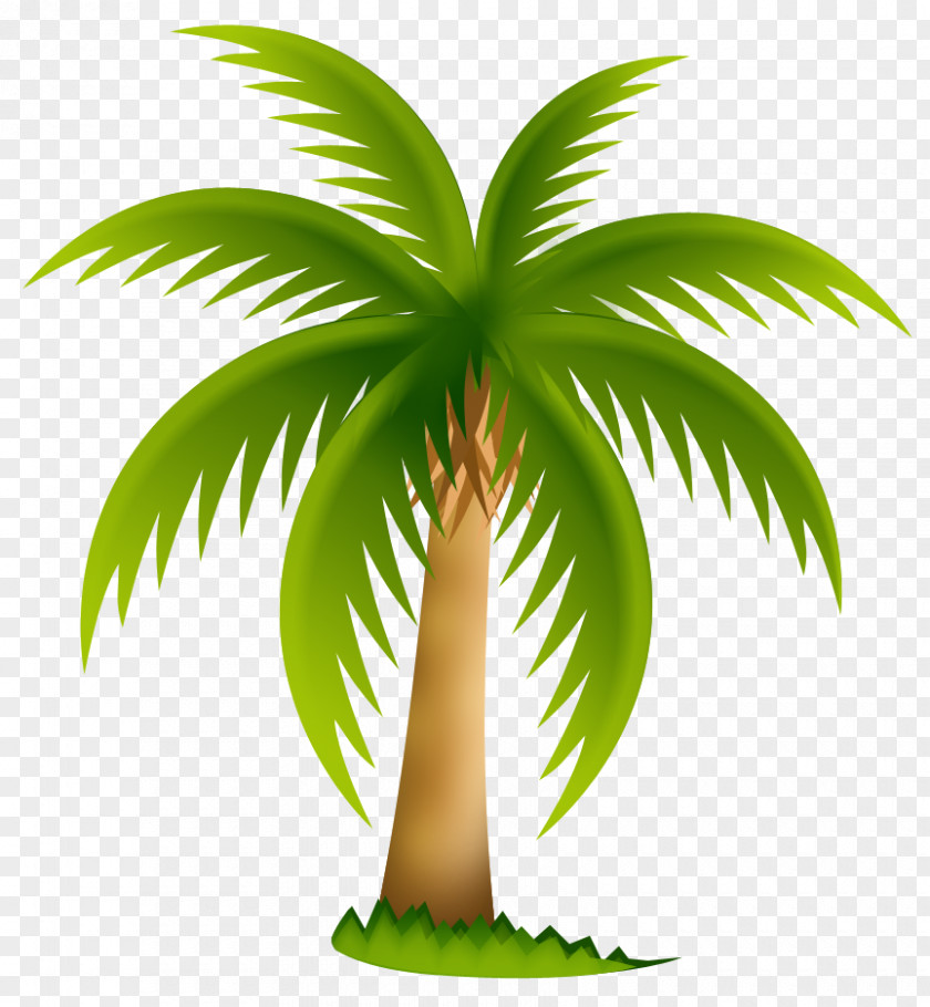 Hemp Arecaceae Date Palm Sabal Clip Art PNG