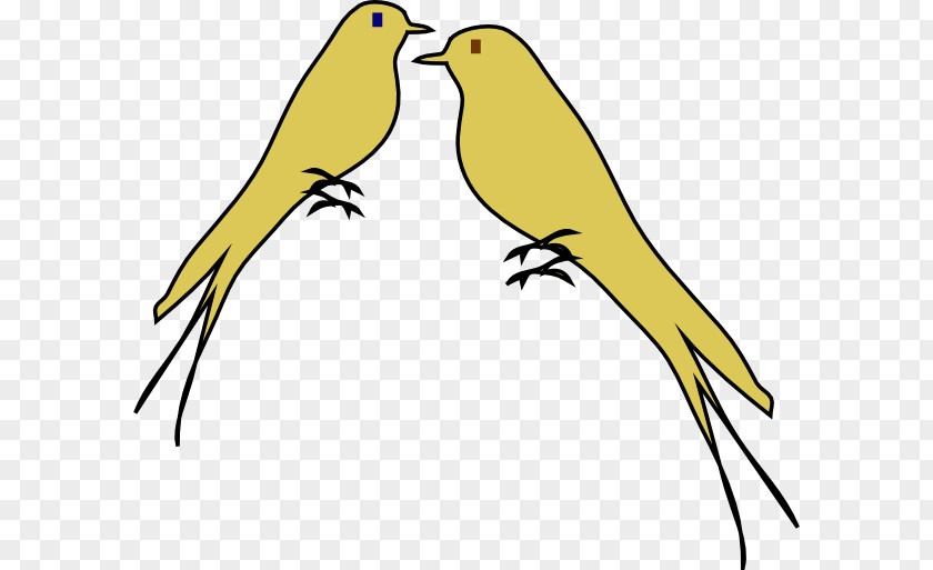 Love Birds Lovebird Parrot Clip Art PNG