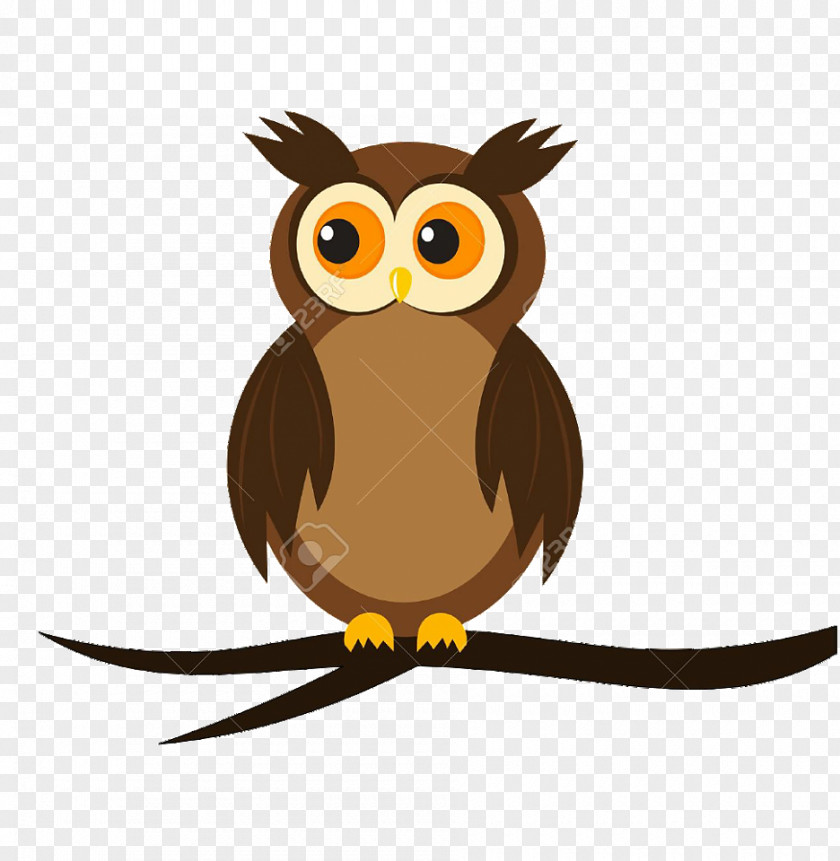 Owls Owl Royalty-free PNG