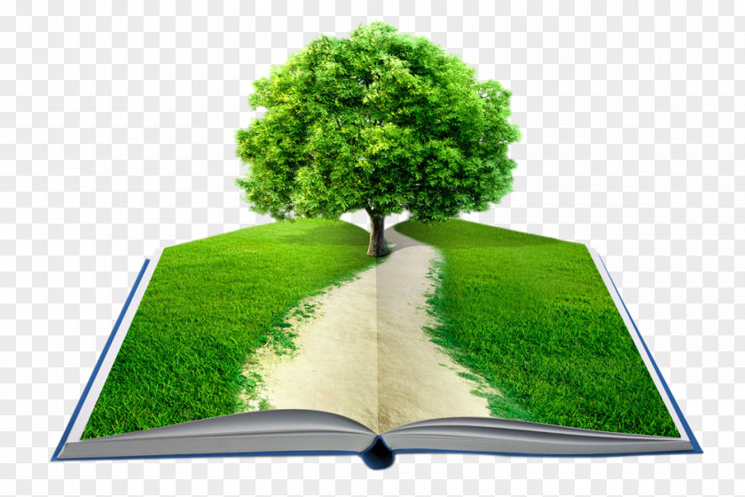 Books Grass And Trees PNG grass and trees clipart PNG
