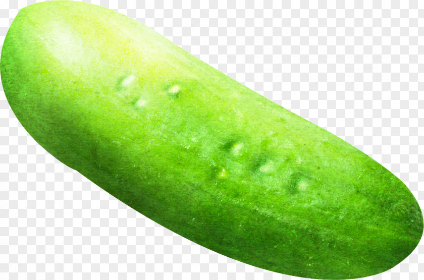 Cucumber Vegetable Fruit Melon PNG