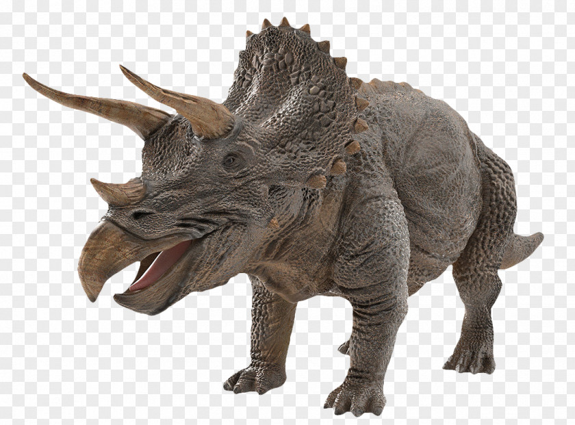 Dinosaur Triceratops/Triceratops Tyrannosaurus Image PNG