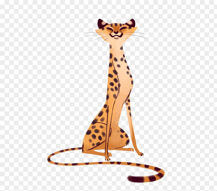 Leopard Cheetah Cat Felidae Tiger Drawing PNG