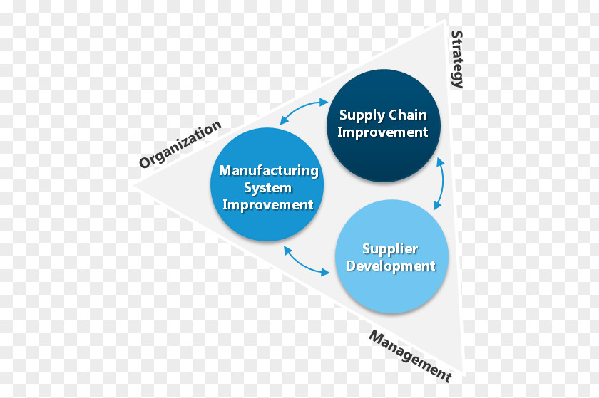 Supply Chain Management Organization Strategic PNG