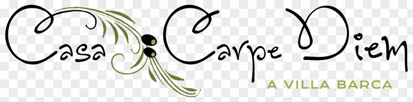 Carpe Diem Calligraphy Brand Logo Font PNG