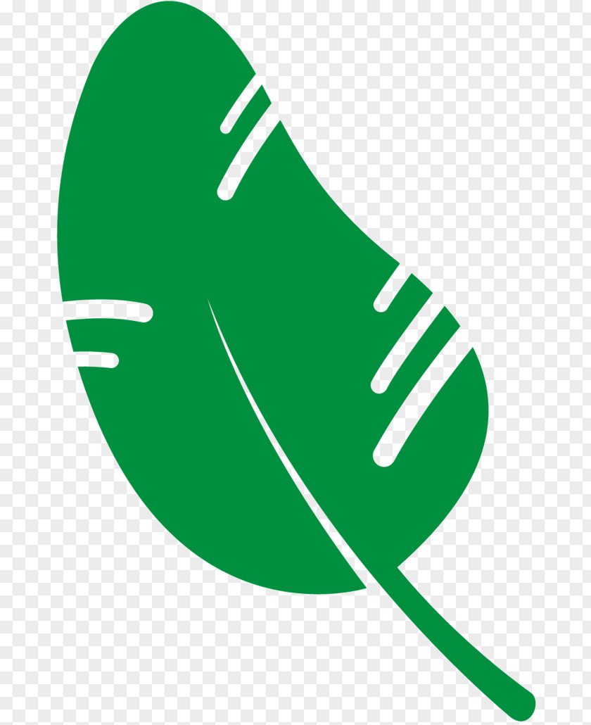 Clip Art Leaf Logo Product Design Line PNG
