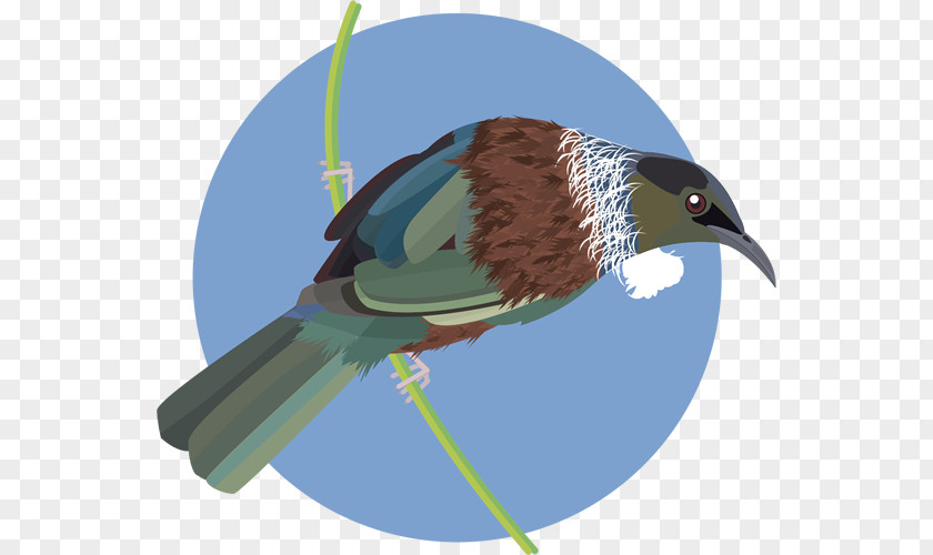 Feather Beak Fauna PNG