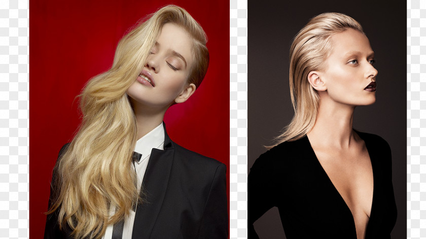 Hair Blond Long Comb Hairstyle PNG