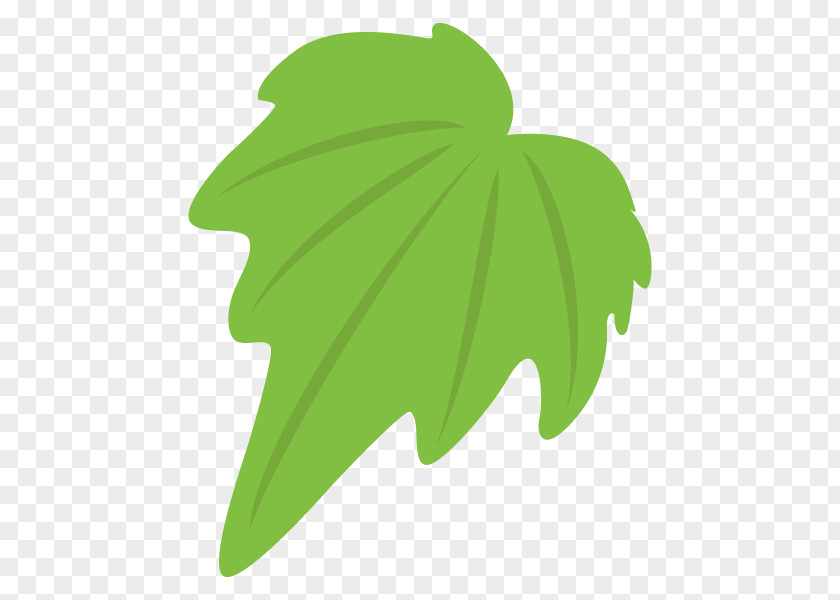 Illustration Leaf Clip Art Plants Plant Stem PNG