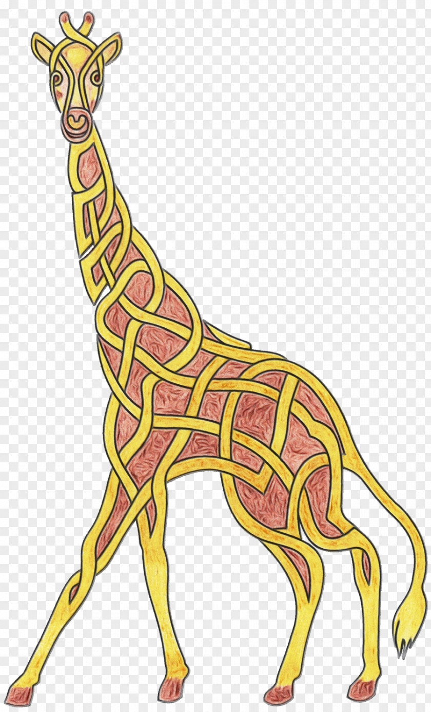 Snout Tail Giraffe Cartoon PNG