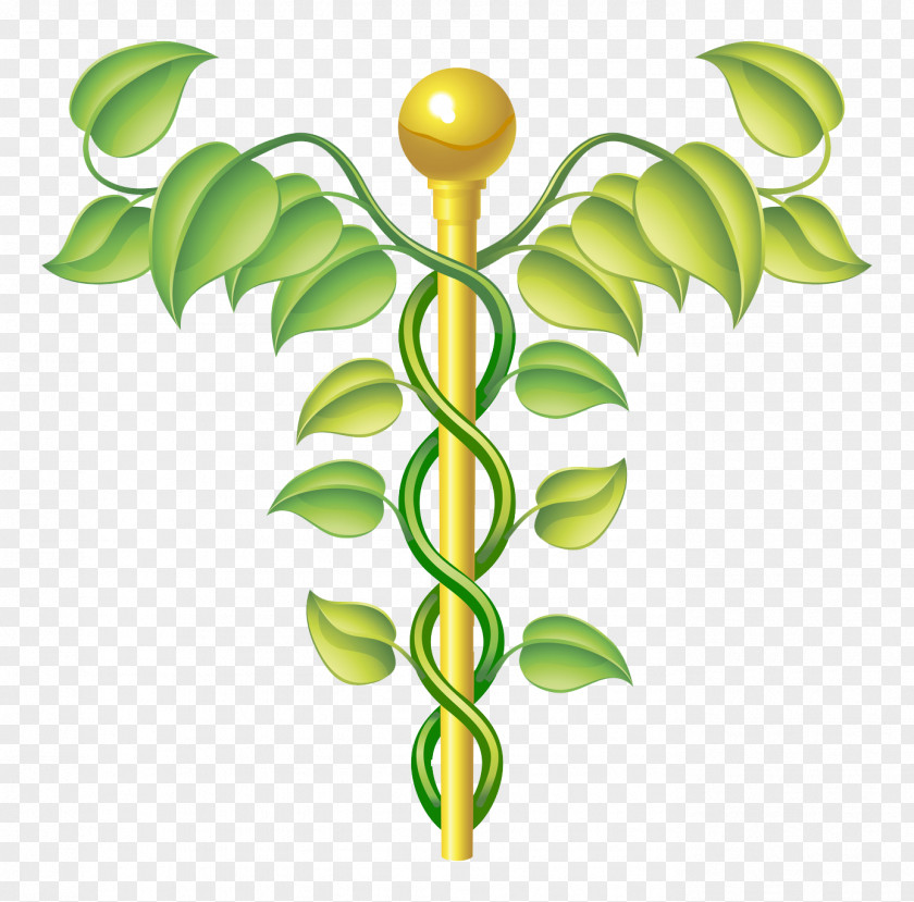 Traditional Chinese Medicine Vitae Pondera, LLC Alternative Health Services Naturopathy Staff Of Hermes PNG