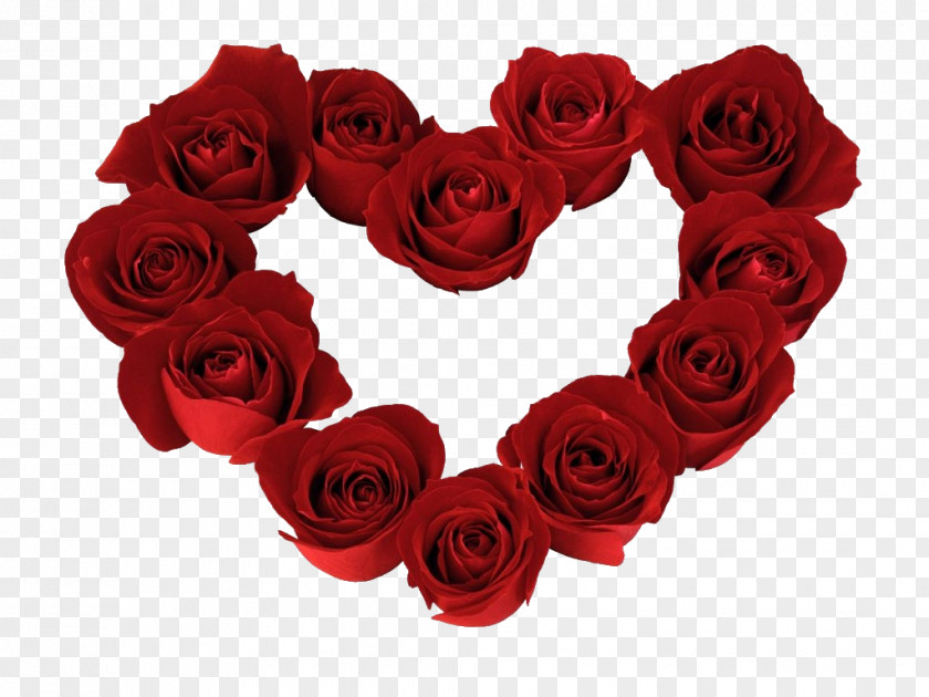 Valentine's Day Heart Rose Desktop Wallpaper PNG