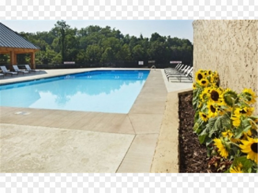 Water Swimming Pool Property Composite Material Estate PNG