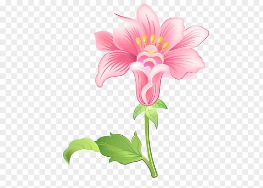 Yo Floral Design Garden Phlox Cut Flowers Clip Art PNG