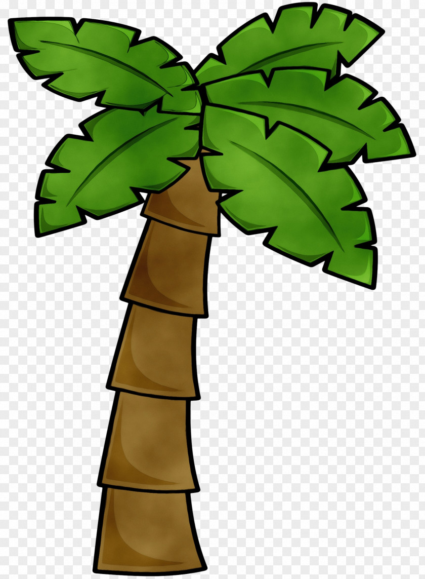 Houseplant Symbol Palm Tree Drawing PNG