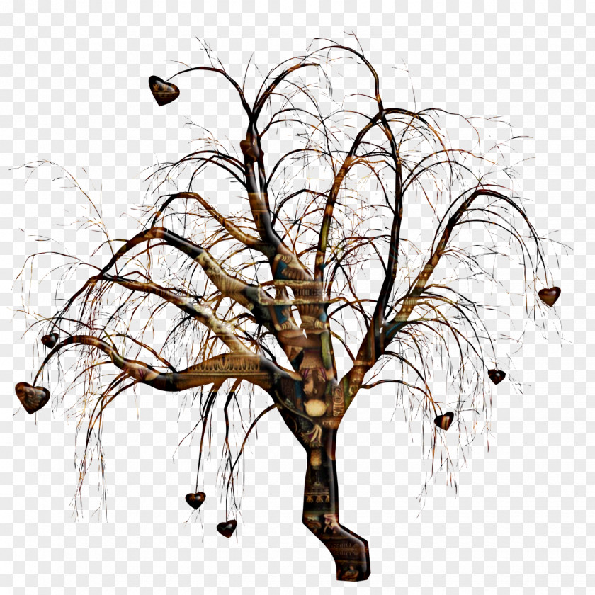 Tree Branch PNG
