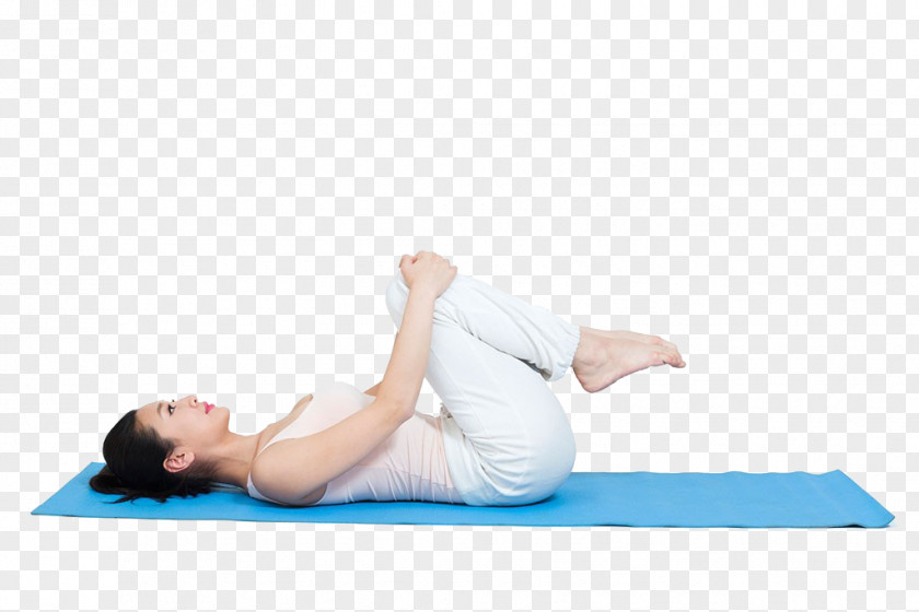 Yoga,beauty,movement,health Yoga Pilates Sport Illustration PNG