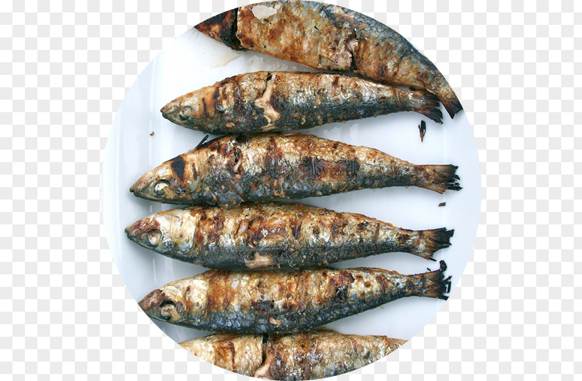 Barbecue Sardine Spanish Cuisine Madrid Clam Portuguese PNG