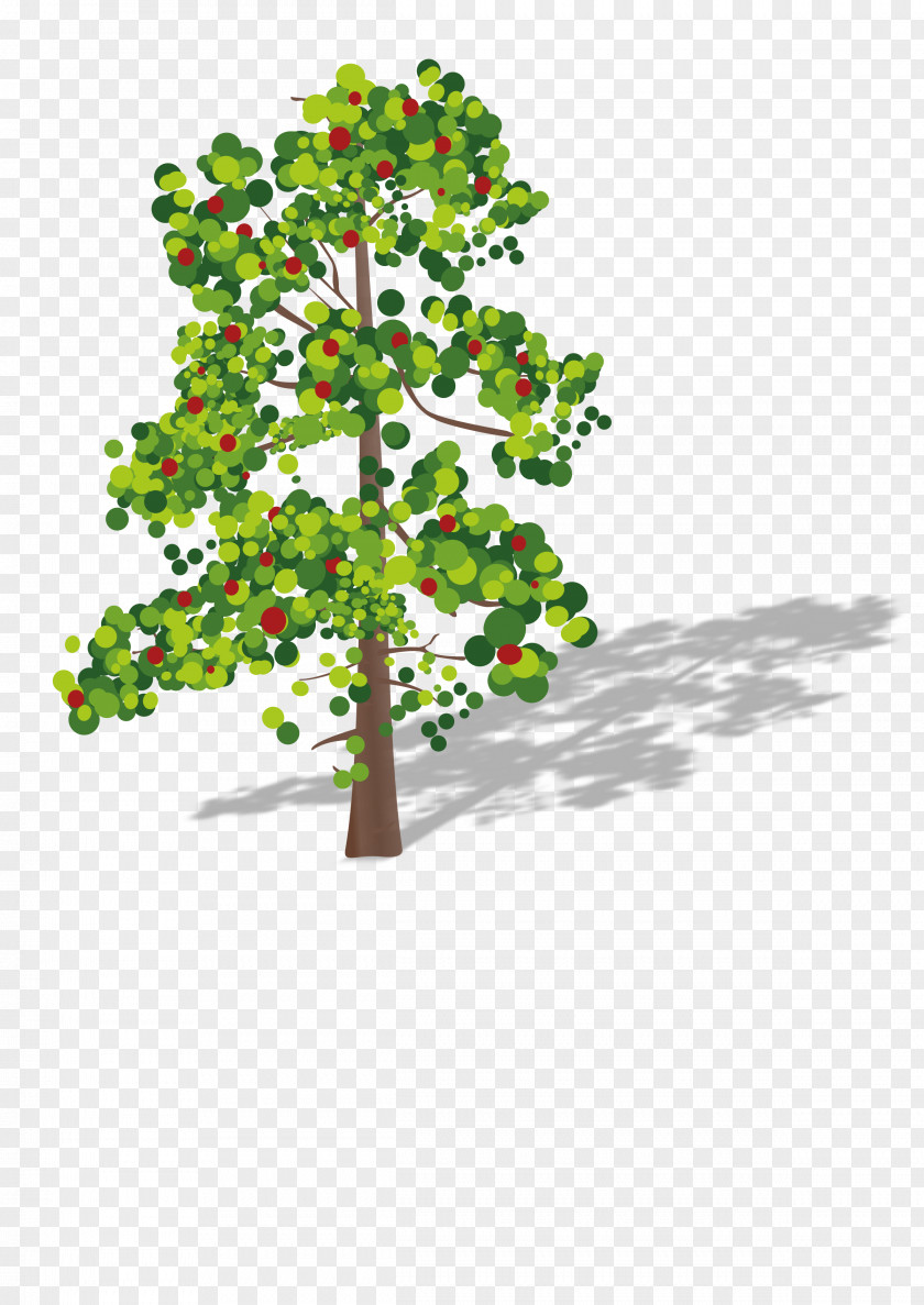 Durian Tree Clip Art PNG