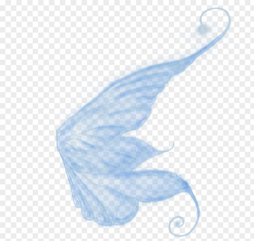 Fairy Wing PhotoScape PNG