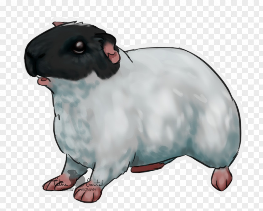 Guinea Pig Rat Sheep Dog Pet Mammal PNG
