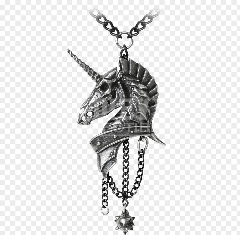 Necklace Charms & Pendants Jewellery Chain Clothing PNG