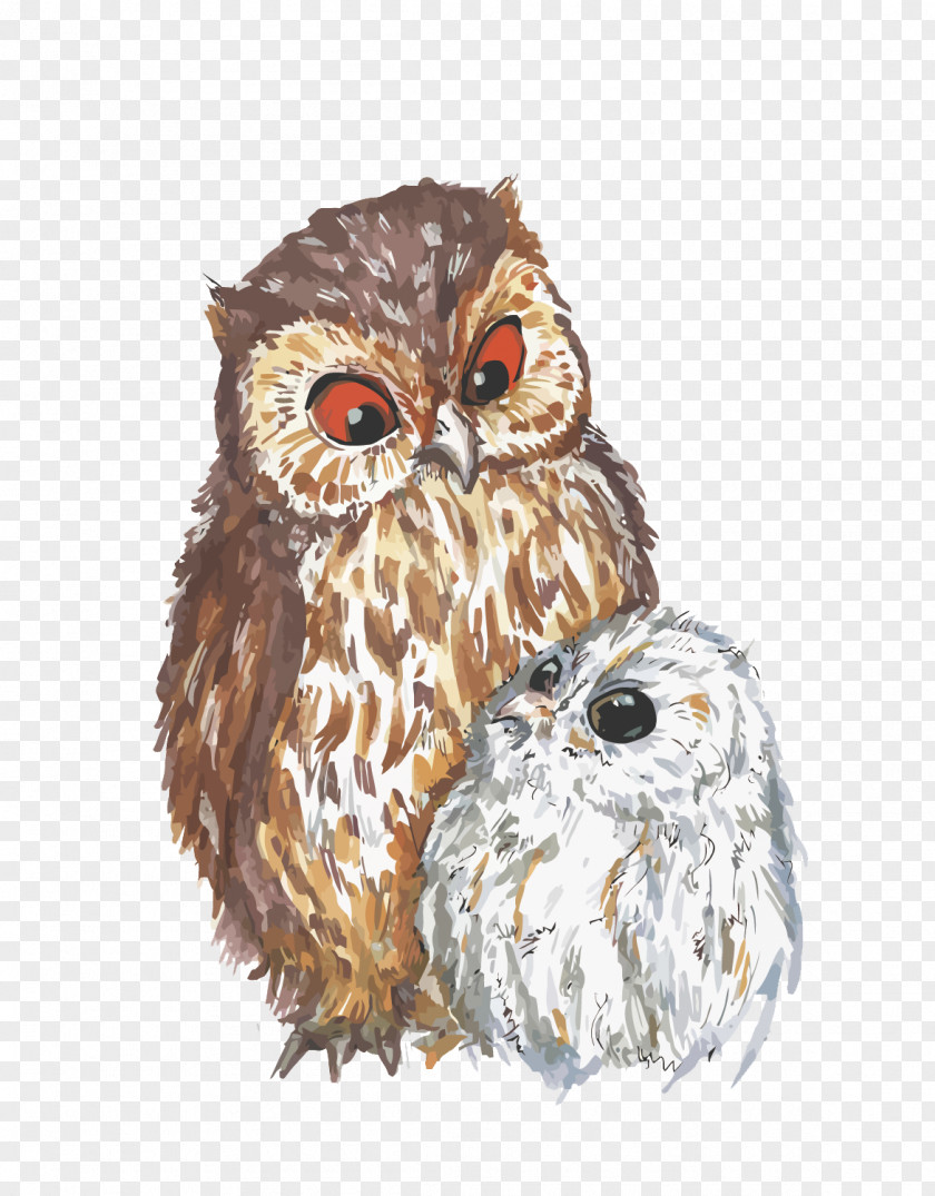 Vector Owl Euclidean Mothers Day PNG