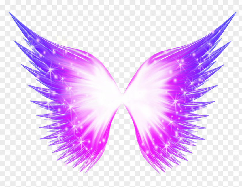 Creative Wings Butterfly Wing PNG