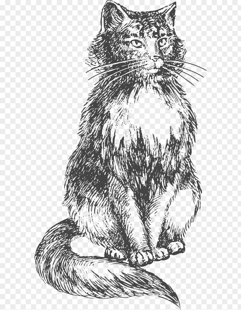 Hand Drawn Cat Vector Bengal Kitten Drawing Sketch PNG