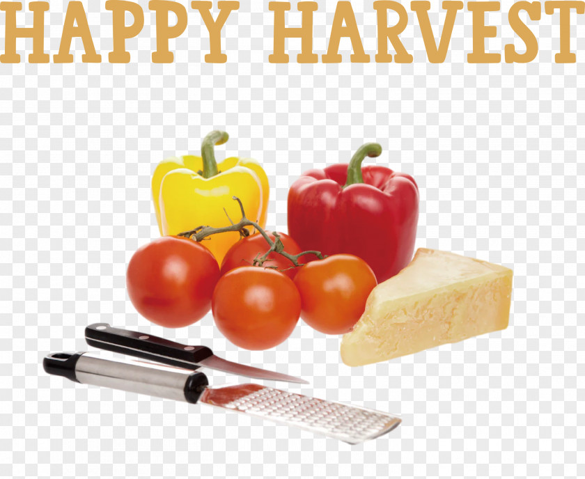 Happy Harvest Harvest Time PNG