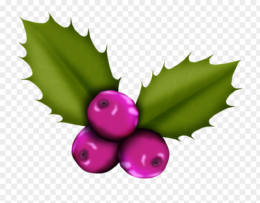 Christmas Art Clip PNG