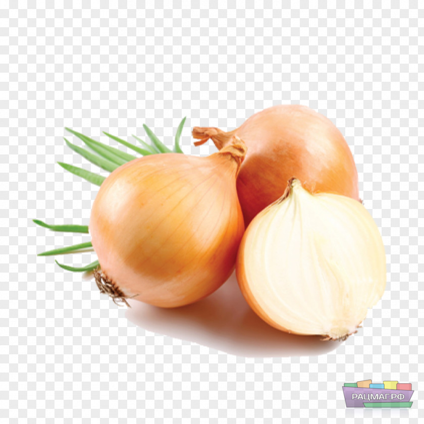 Garlic Allium Fistulosum Chives Shallot Vegetable PNG