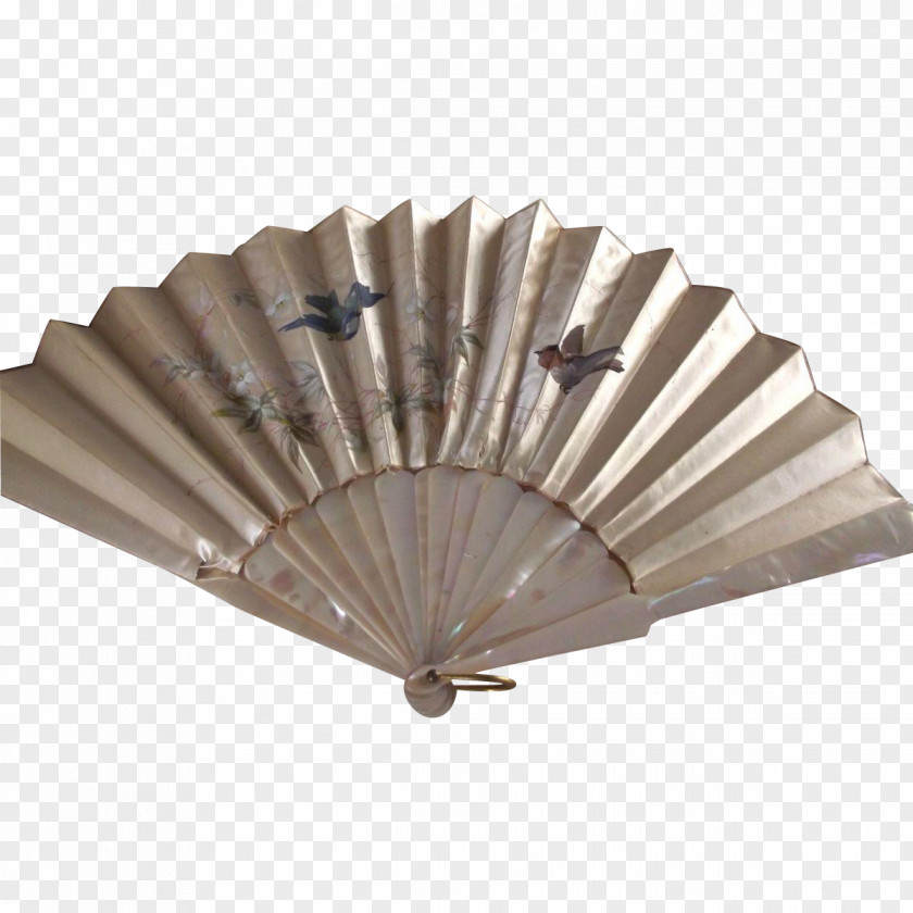 Hand Painted Birds Fan PNG