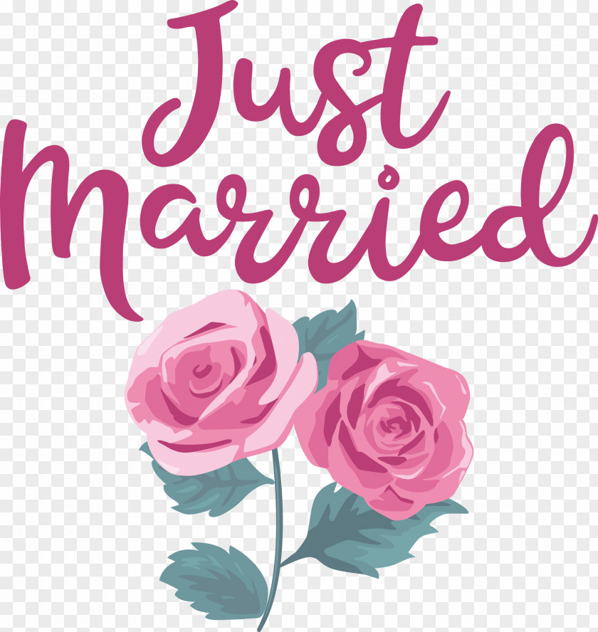 Just Married Wedding PNG