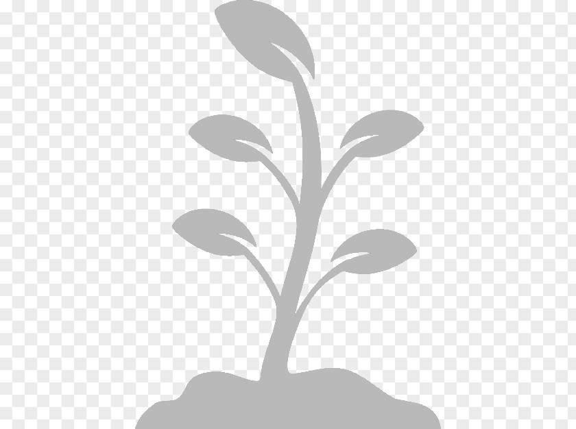 Plants Nature Clip Art Seed Leaf PNG