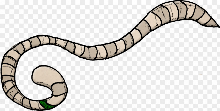 Rattlesnake Vipers Kingsnakes Animal Courtroom PNG