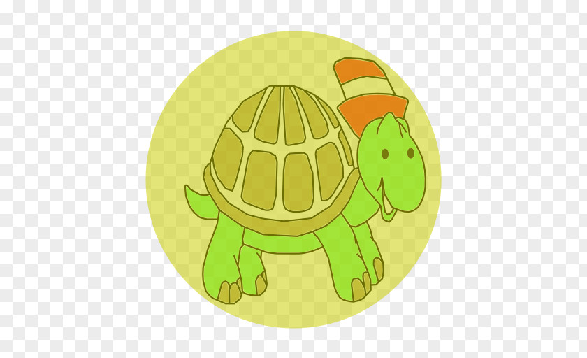 Tortoise Green Cartoon PNG