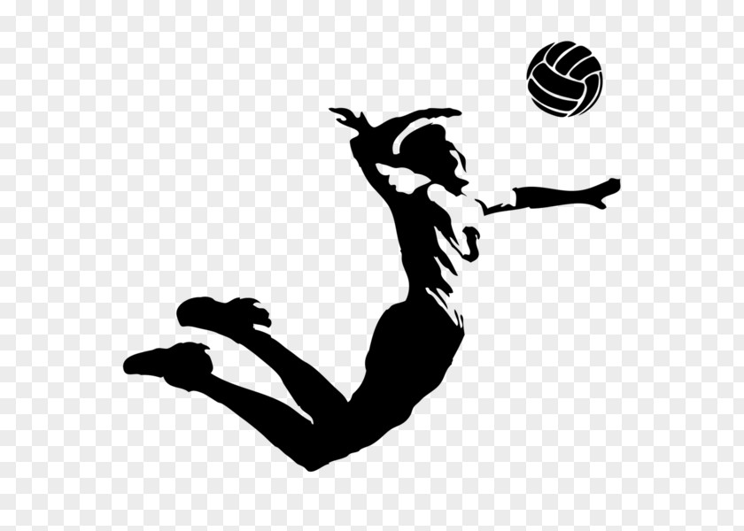 Volleyball VC Zenit-Kazan Belogorie Sport T-shirt PNG