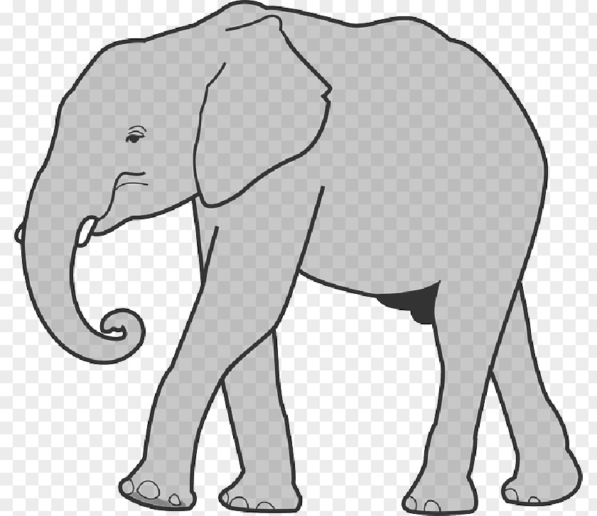 Elephants Art Clip Openclipart Vector Graphics Free Content PNG