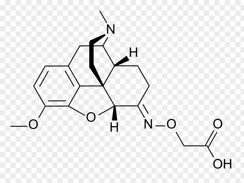 Atc Code V09 Hydromorphone Opioid Pharmaceutical Drug Analgesic Wikipedia PNG