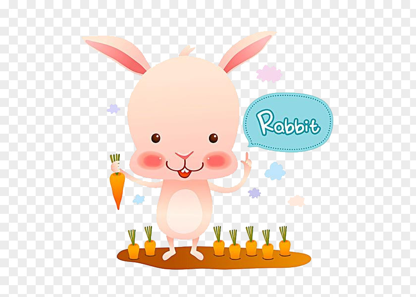 Cartoon Rabbit Software PNG