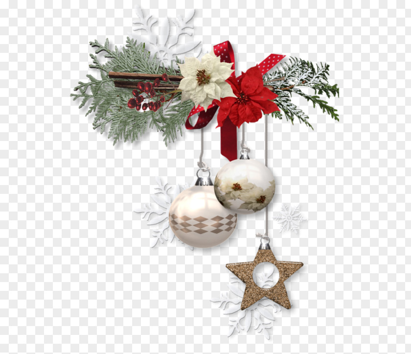 Christmas Common Holly Tree Pine Ornament PNG