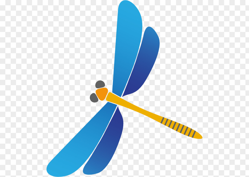 Dragonfly Castle Cary Lovington National Primary School Ofsted PNG